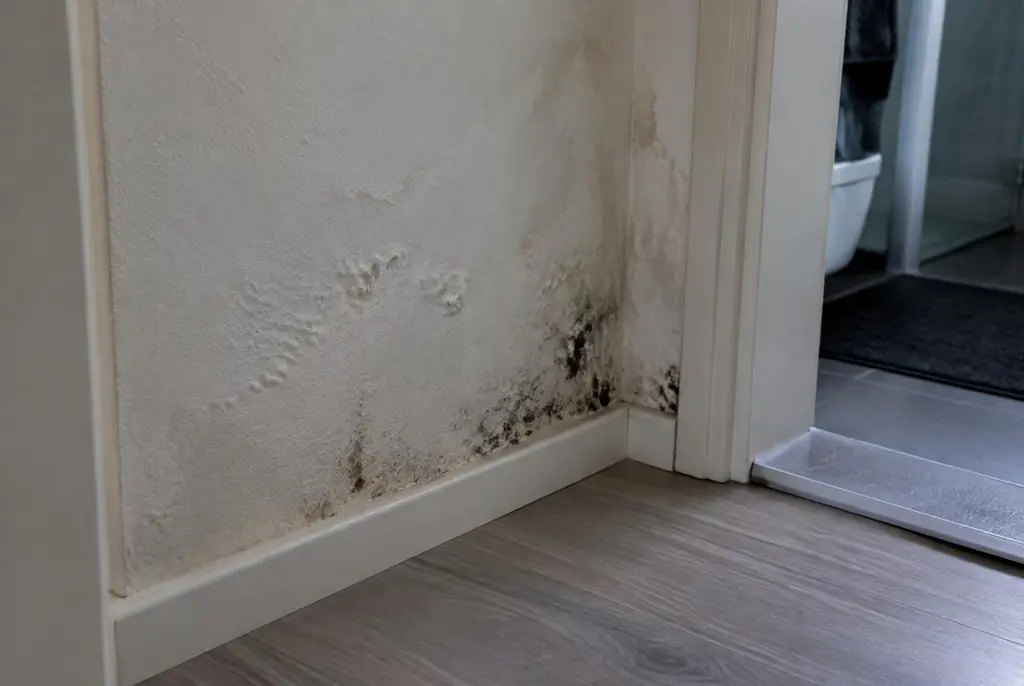 Lekdetectie Uddel – vochtplek met schimmel op een muur